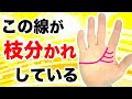 【手相】この線が枝分かれしている人必見【感情線】