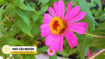 Phút Cầu Nguyện, Thứ Ba 03/08/2021: Nhận Ra Ý Chúa