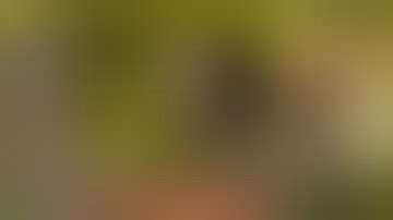 ⚫ALDOUS M1 | FULL EFFECTS + ABC FILES | SANDI AT