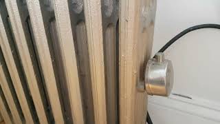 Unexpected Lullabies: My Month with a Noisy Radiator