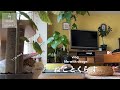朝ごはんから始まる猫との日常/春の楽しみ🌸お花見/おうちごはん【猫と暮らしのvlog】