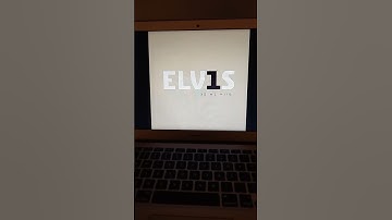 Thumbnail of too much Elvis Presley