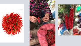 Nghệ thuật làm (xâu) dây quả ớt tuyệt đẹp của người Hmông -Treo phơi sấy để khô ăn dần