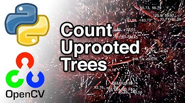 Count Uprooted Trees with Python and OpenCv
