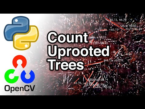 Count Uprooted Trees with Python and OpenCv
