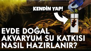 DOĞAL SU DÜZENLEYİCİ NASIL YAPILIR? | DIY | MUADİL OLARAK HAZIR SU DÜZENLEYİCİ ÖNERİSİ