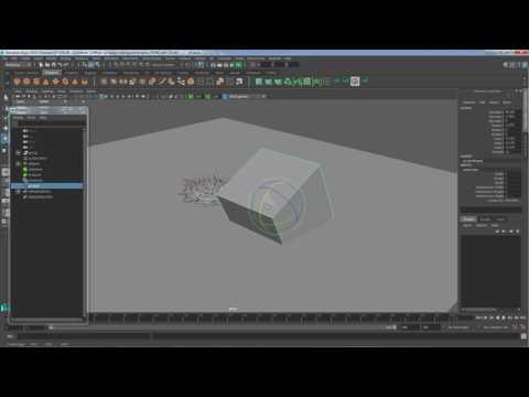 Random Rotation Y