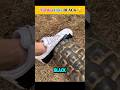 Why TURTLES Hate BLACK ! 🧐