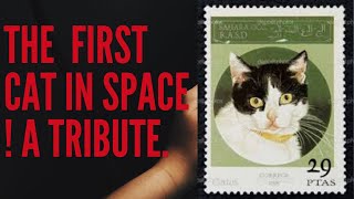 CAT TRAVELLED IN SPACE by Cat Facts 720 views 4 years ago 2 minutes, 9 seconds