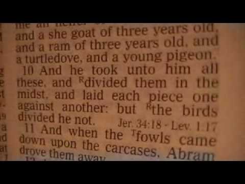 Genesis 15 Holy Bible (King James)