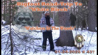 THE WATCHERS IN THE WOODS. DAY 2, EPISODE #2. BIGFOOT ROAD-TRIP TO WHITE BIRCH. Read Below