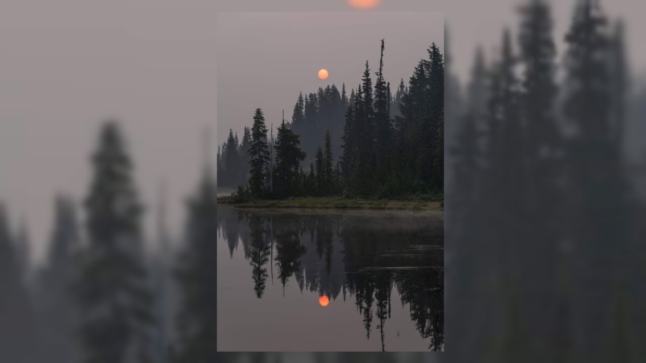 𝑰𝒕𝒕𝒚 𝒃𝒊𝒕𝒕𝒚 𝒑𝒊𝒈𝒈𝒚 𝒙 𝑰'𝒍𝒍 𝒅𝒐 𝒊𝒕! - 𝑵𝒊𝒄𝒌𝒊 𝑴𝒊𝒏𝒂𝒋 (𝑺𝒍𝒐𝒘𝒆𝒅 + 𝒓𝒆𝒗𝒆𝒓𝒃✰) |𝑺𝒍𝒖𝒔𝒉𝒚_𝒙𝒚|