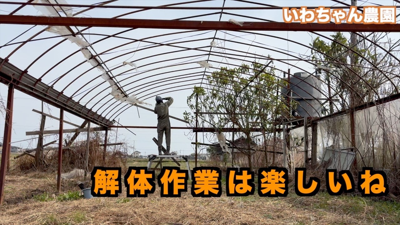 Давайте постепенно разберем теплицу.