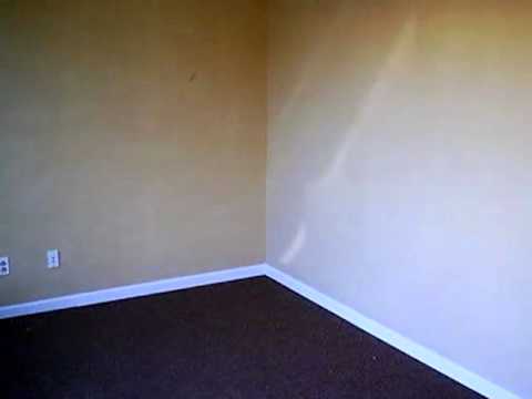 110 N Mecklenburg Ave, South Hill, VA home video tour