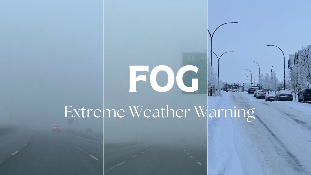 Persistent Fog with Zero Visibility | Extreme Weather in Calgary | VLOGS from Canada