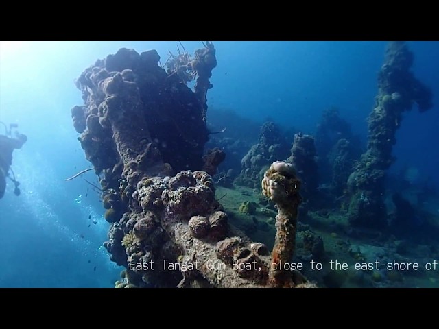 East Tangat gunboat wreck（コロンの沈船）