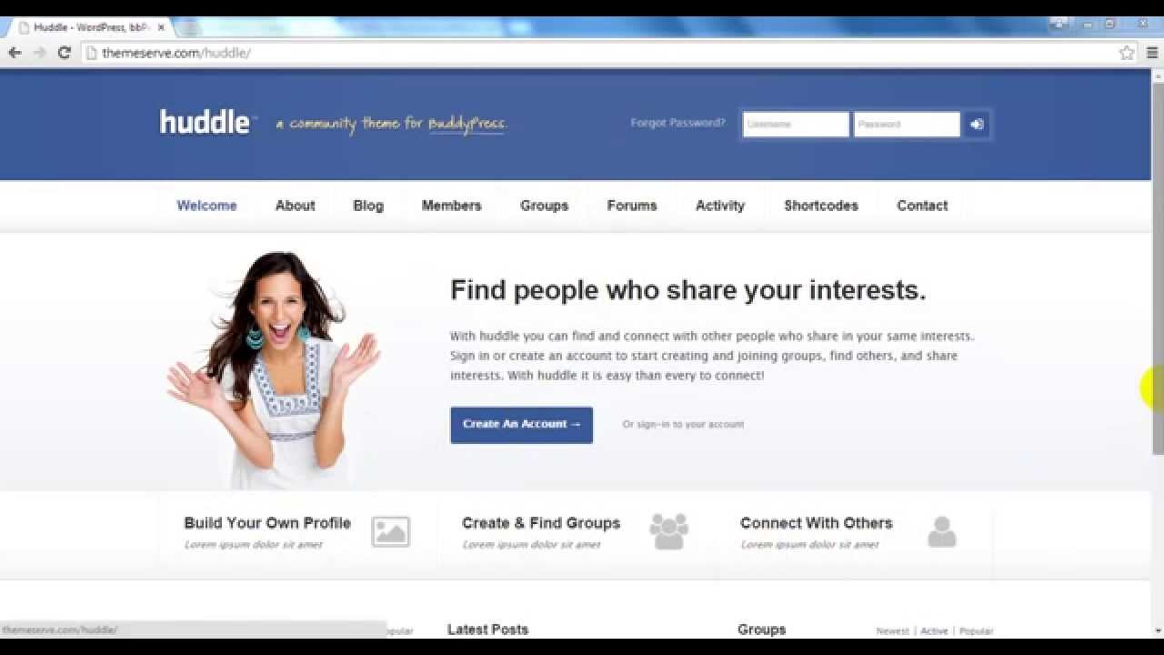 buddypress theme