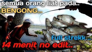 Amazing...14 menit no edit full strek 🔴mancing derbang tehnik penguras ikan#tehnikpecut #tenkarajowo