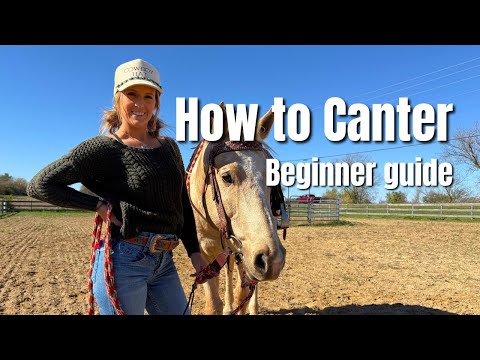 Mind Over Canter! - Beginners Guide to Catering on Horseback