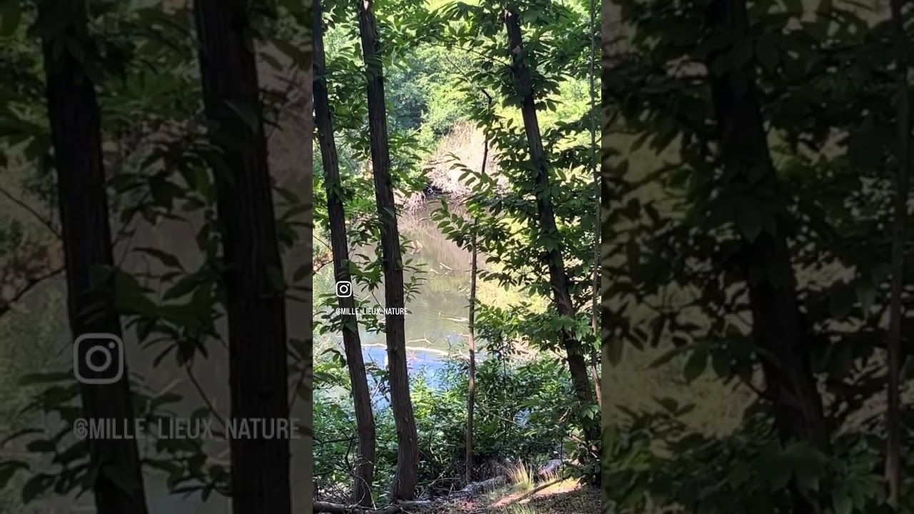 Instant Nature ✨🌿 