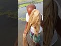 Grandpa Net Fishing Video #fishing #ytshorts