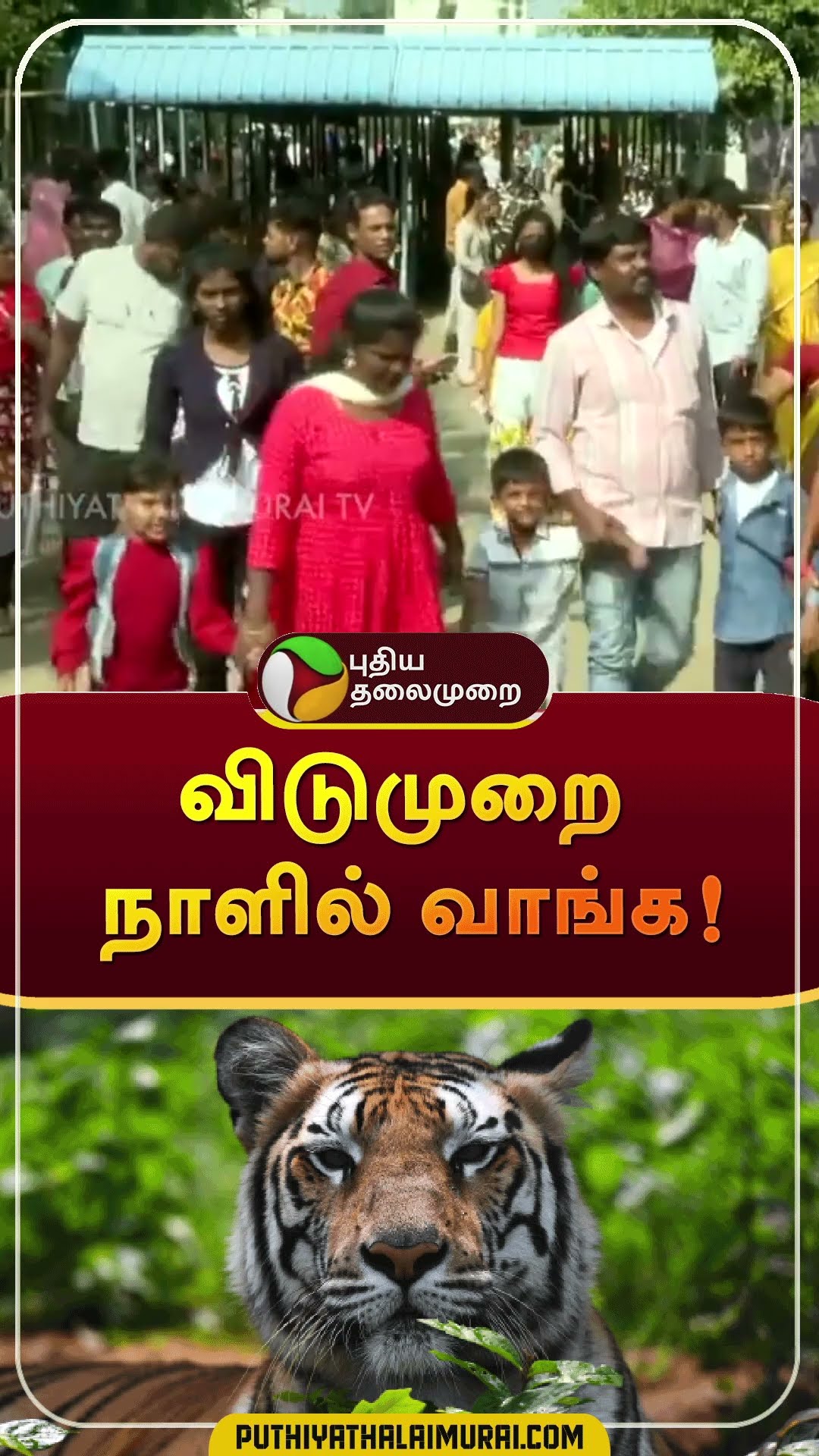 விடுமுறை நாளில் வாங்க! | #shorts | #vandalurzoo