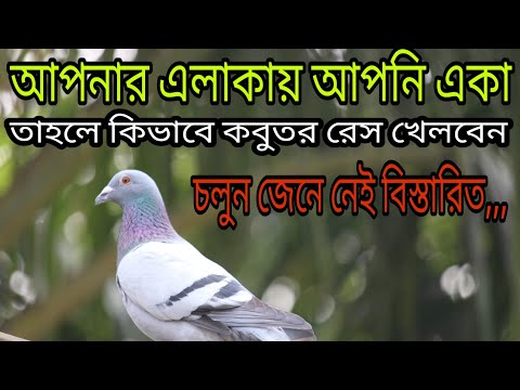 ভিডিও: আপনি কিভাবে একটি রেসিং চেয়ারে বসবেন?