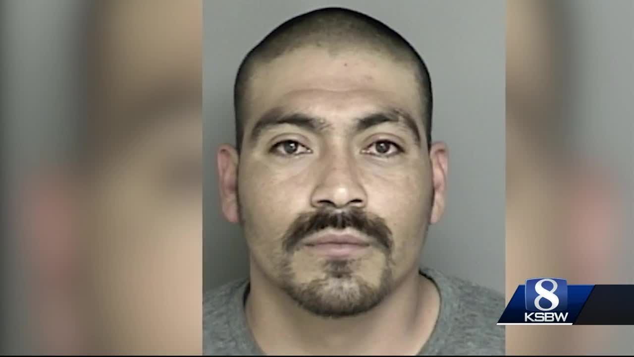 Man facing felony animal cruelty charges for stomping dog to death in ...