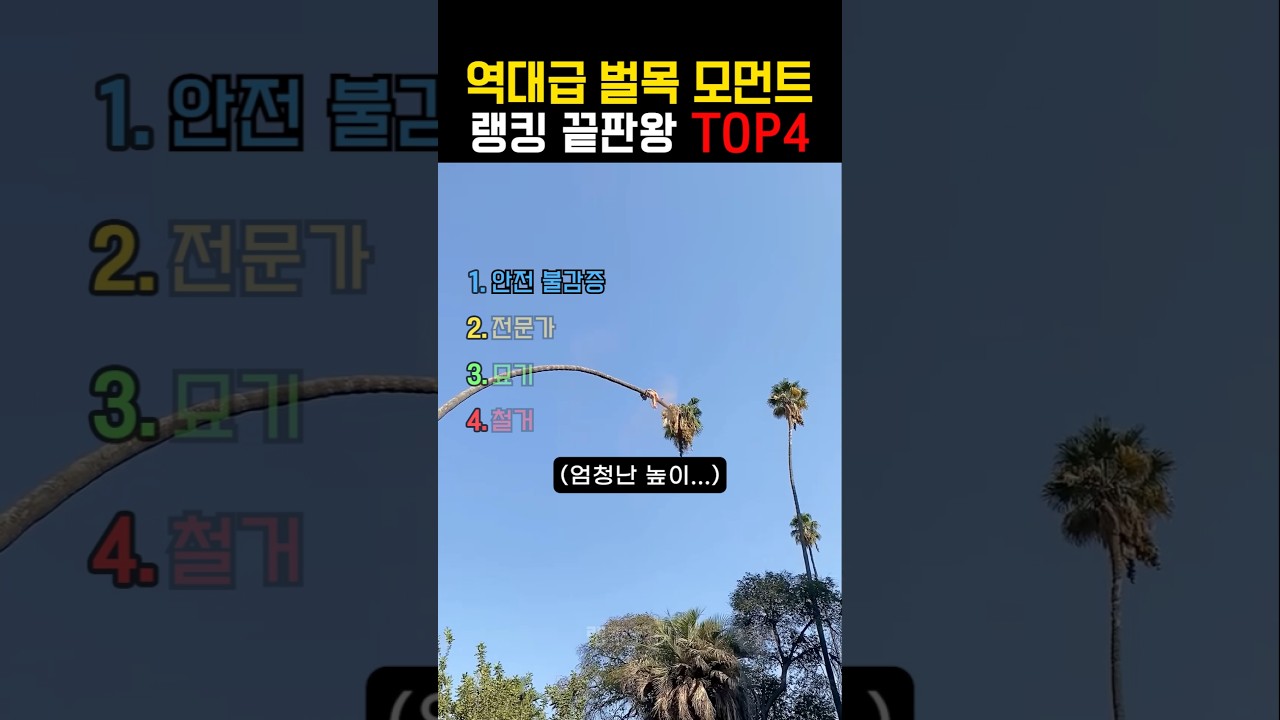 소리를 확인하지 마세요 😭😭