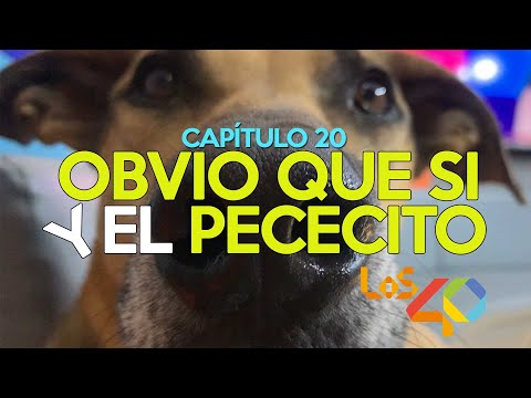 Obvio que si y el Pececito por Los40 (24 de noviembre)
