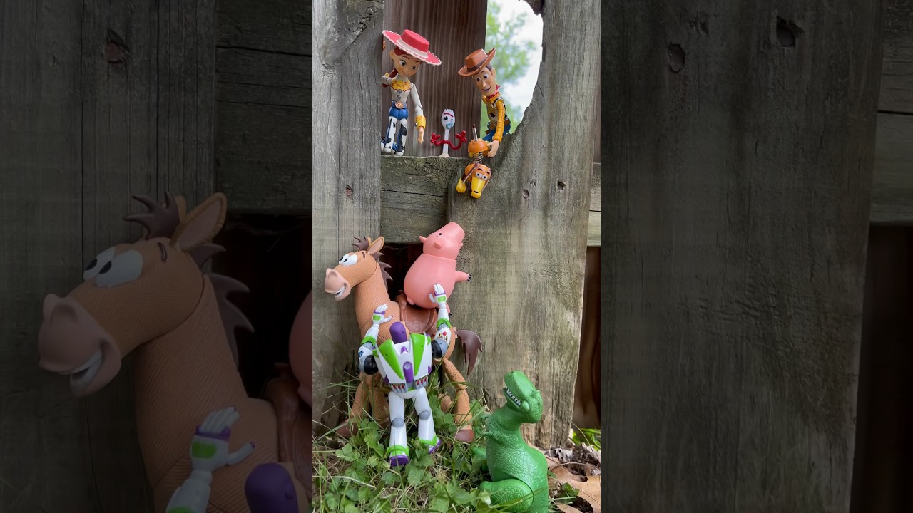 Where are the toys going? 