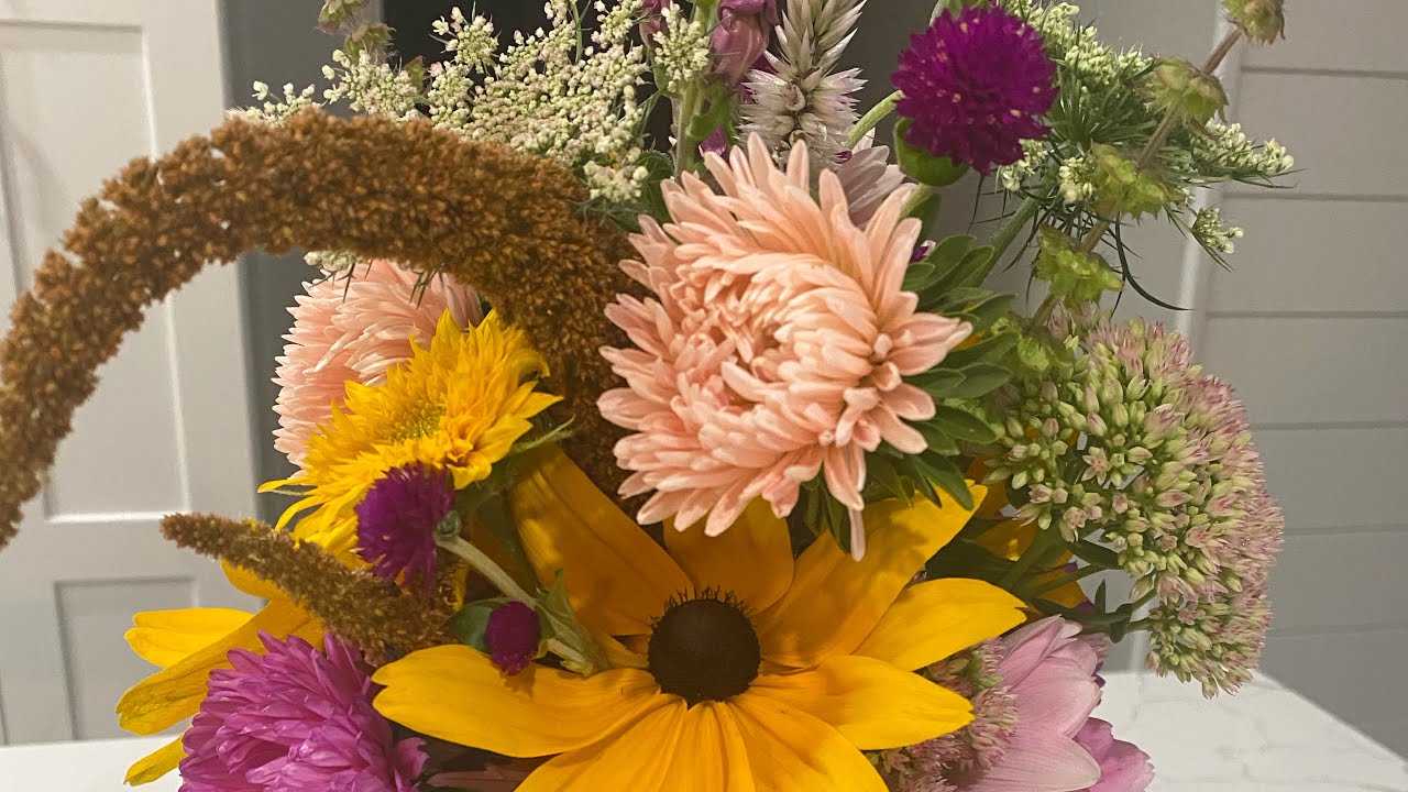 Backyard Garden tour- August -Zone 6B