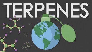 Terpenes: definition, functions and biosynthesis