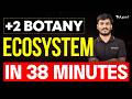 Plus Two Science Botany | Ecosystem in 38 Minutes | Chapter 14 | Eduport Plus Two