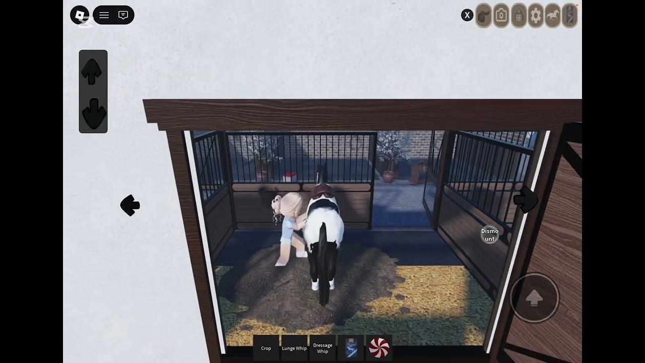 Stridway introduction for beginners part 1