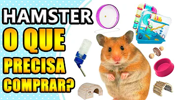 Qual o custo para ter um hamster?