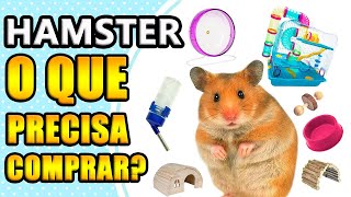 O que é necessário comprar para ter um hamster?
