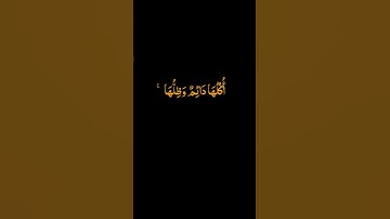 قران كريم صوت كانه من الجنه#هزاع البلوشي qurankarim#مصر#العراق#الجزائر#تونس#عمان#الجزائر#الكويت#قطر