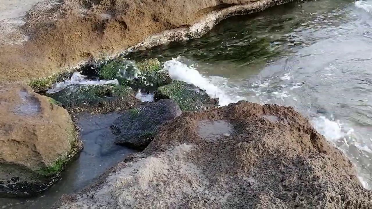 Плеск, плеск, плеск волн??????... - YouTube