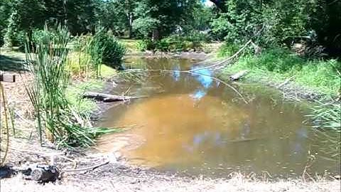 Shallow Well Experiment Part 2