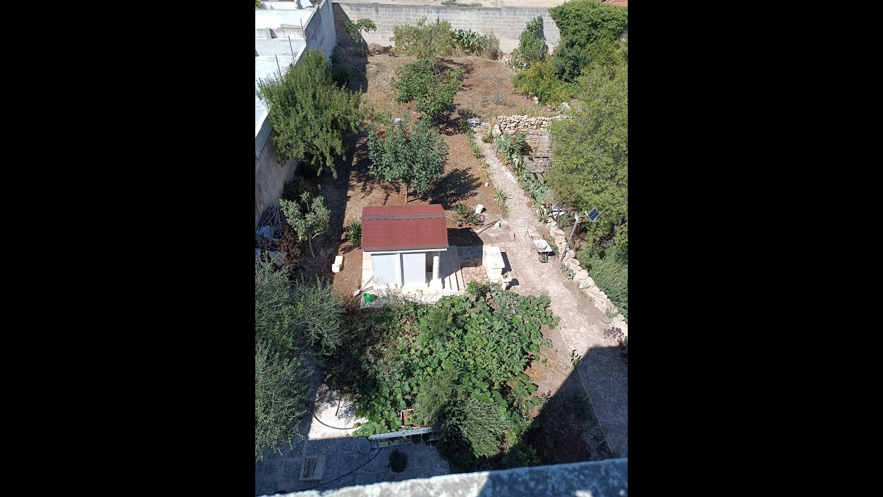 Inno ad Apollo - Peana ad Apollo adlı videoyu YouTube'da izle Inno ad Apollo - Peana ad Apollo adlı videoyu YouTube'da izle