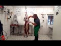 Hirschkalb aus der Decke schlagen und grob zerlegt/ Red Deer Skinning