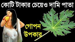 ডেঙ্গু জ্বরের মহাঔষধ || পেঁপে পাতার উপকারিতা || পেঁপে পাতা খাওয়ার নিয়ম | পেঁপে পাতার রস খাওয়ার ফলাফল