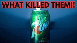 The Downfall of 7up ; What went Wrong?