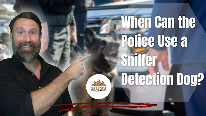When Can the Police Use Sniffer Detection Dogs?