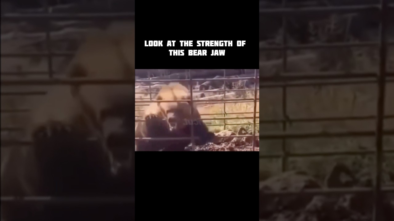 Nature’s Nightmare😱😳 