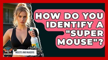 How Do You Identify A "super Mouse"? - Insects and Invaders