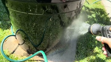 38) Cập nhật cây táo xanh Đài loan và táo xanh Thái