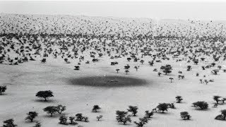 Suzanne Daveau Trailer Iffr 2020