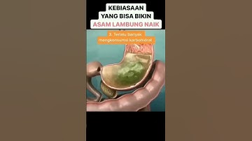 Penyebab asam lambung naik | Kebiasaan mana yang tidak bisa dihindari?